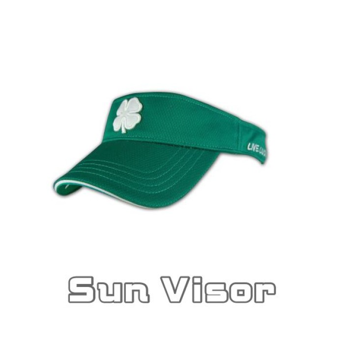 Sun Visor