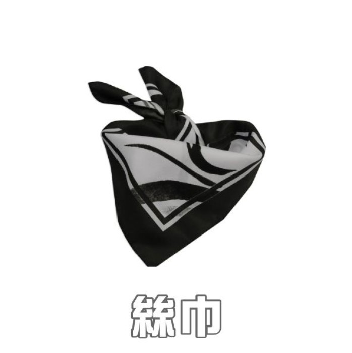 絲巾 / 領巾