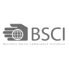 BSCI-auditreport