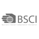 BSCI-auditreport BSCI-auditreport