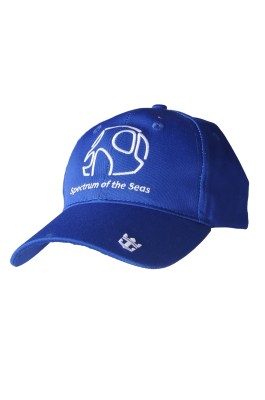 HA320  訂做棒球帽 設計運動帽 可調節  繡花logo  棒球帽生產商     藍色