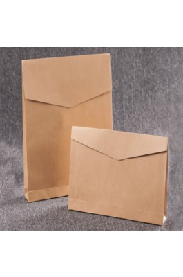 PC012 訂做紙袋購物袋 服裝快遞袋 環保牛皮紙信封式 環保袋供應商