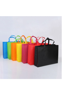 EPB003  設計無紡布袋子 定做環保手提袋  供應環保袋 環保袋製造商  環保袋價格 
