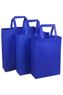 SKEPB009  大量訂製無紡布環保袋 設計多彩色購物袋 環保袋供應商 培訓班 收納袋 社區活動 團體活動